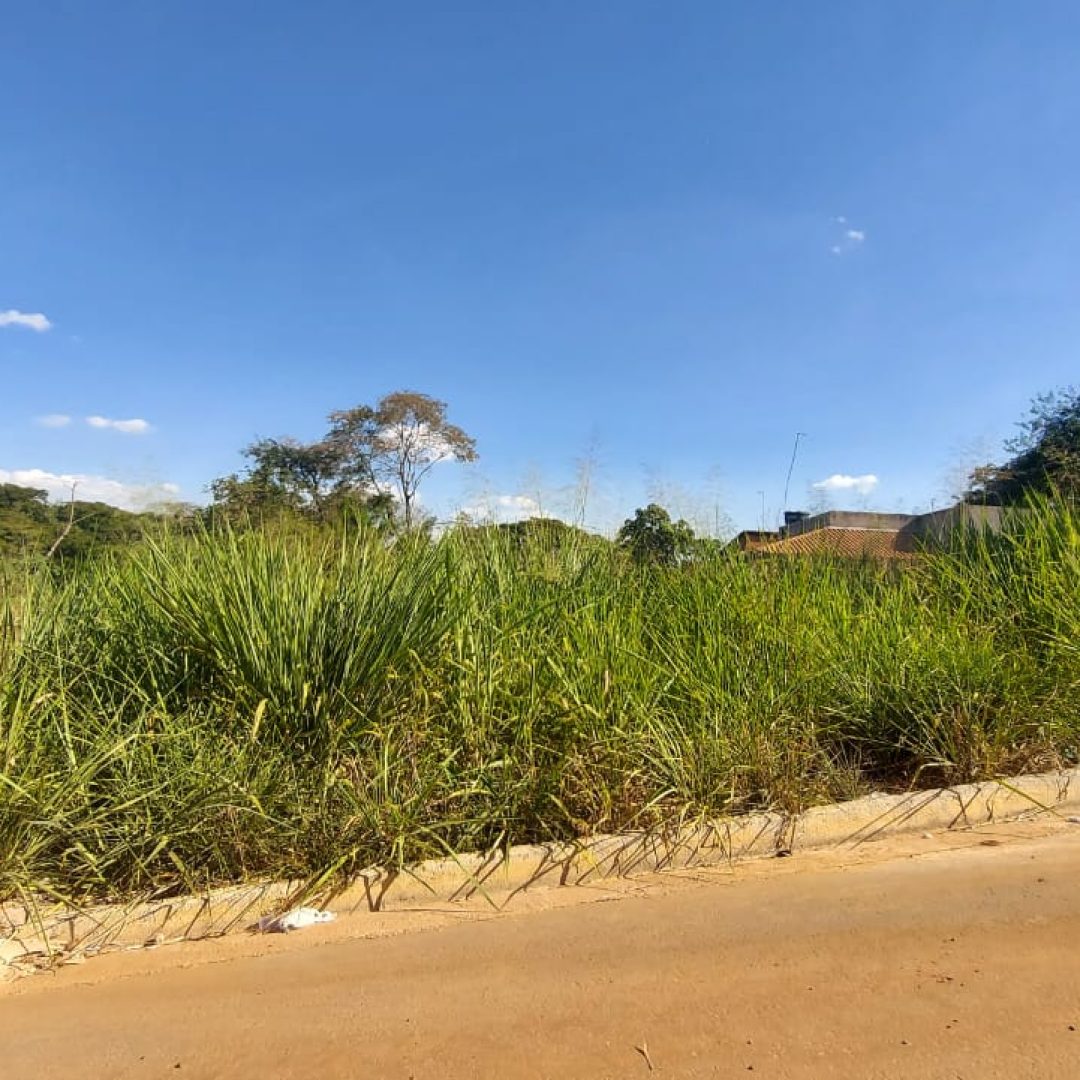 WhatsApp Image 2022-06-03 at 15.03.37 (1)