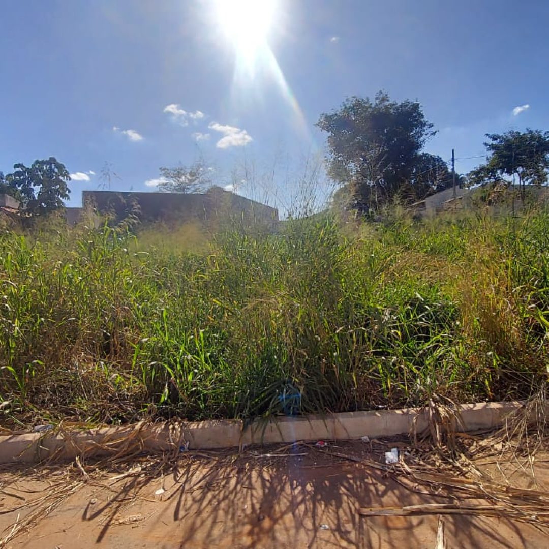 WhatsApp Image 2022-06-03 at 15.03.38 (2)