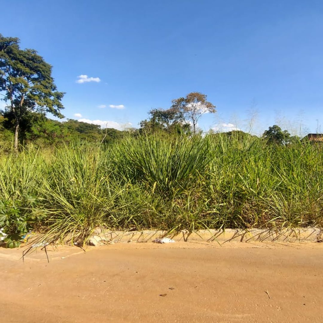 WhatsApp Image 2022-06-03 at 15.03.38