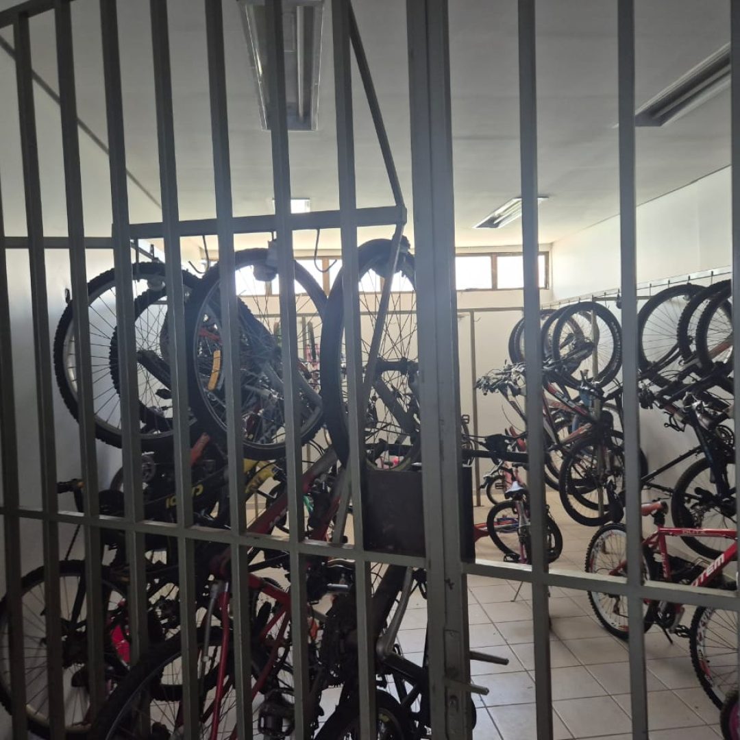 WhatsApp Image 2026-04-08 at 09.05.04